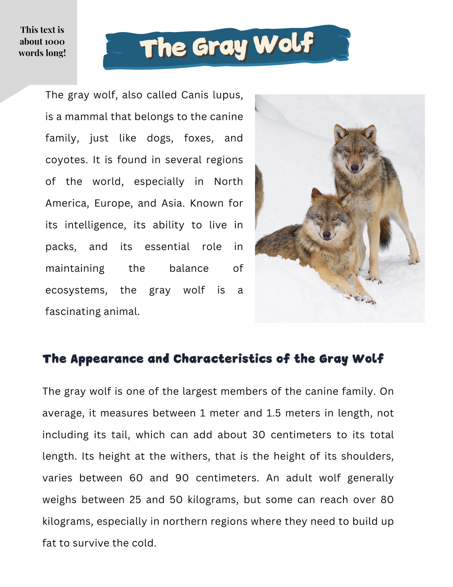 All Our Resources | 220 Pages | Grades 4-6