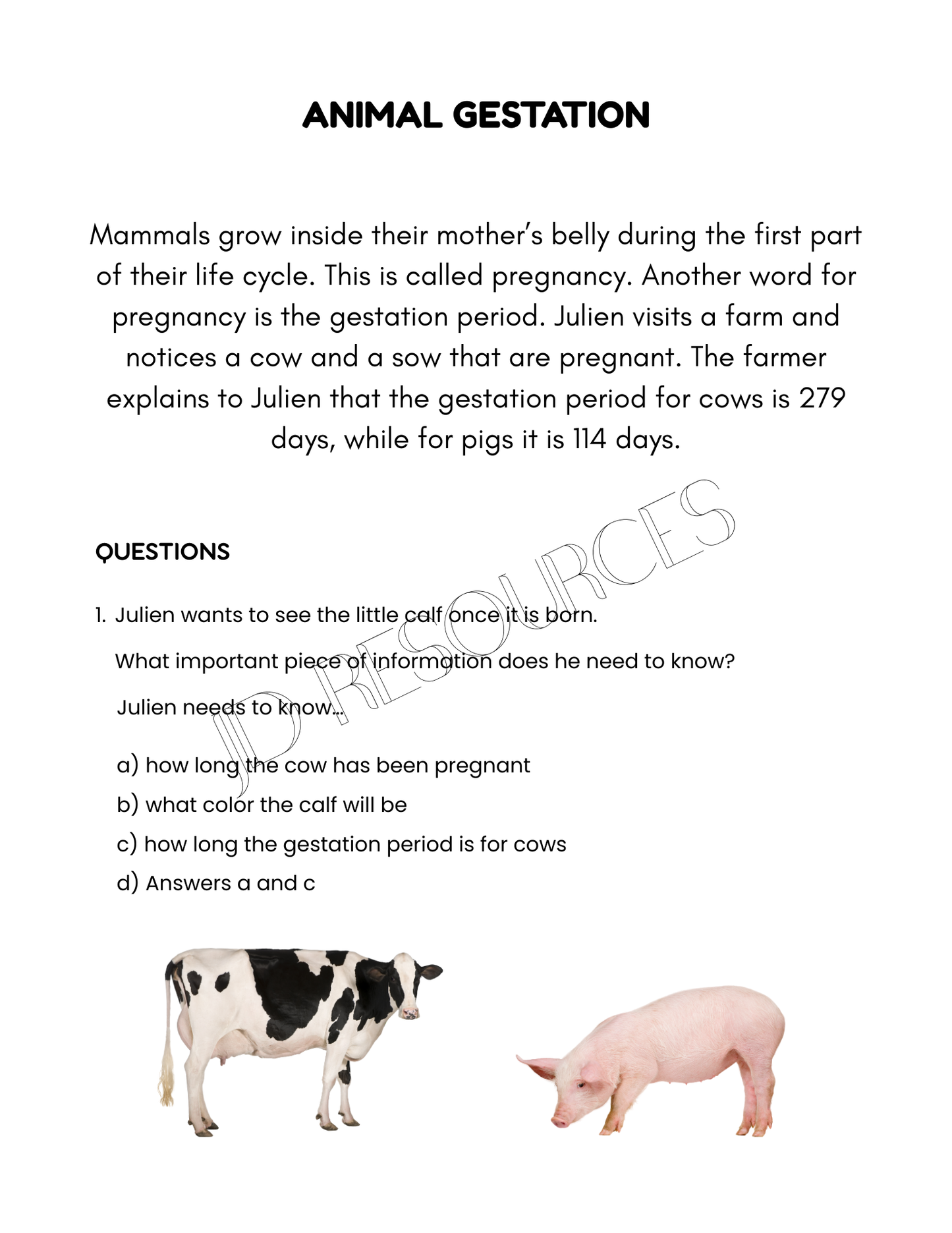 All Our Resources | 220 Pages | Grades 4-6