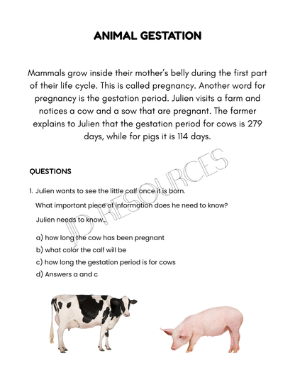 All Our Resources | 220 Pages | Grades 4-6