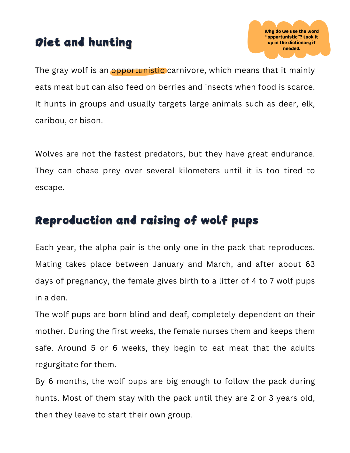 All Our Resources | 220 Pages | Grades 4-6